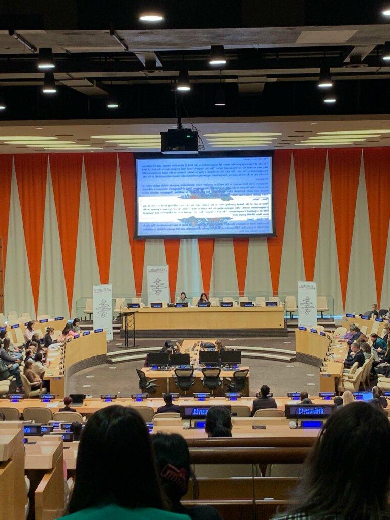 International Day of Women and Girls in Science Assembly at the UN